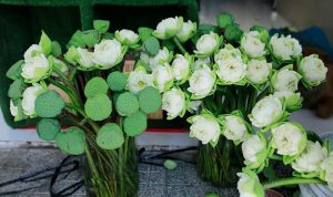 Mua hoa sen ở đâu